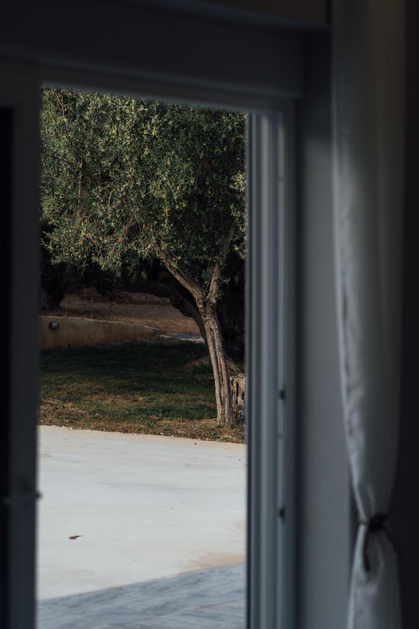 Blue Waves Luxury Suites By The Sea Plomari エクステリア 写真